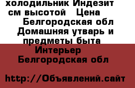 холодильник Индезит 145 см высотой › Цена ­ 6 000 - Белгородская обл. Домашняя утварь и предметы быта » Интерьер   . Белгородская обл.